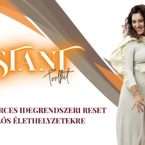 Instant Toolkit